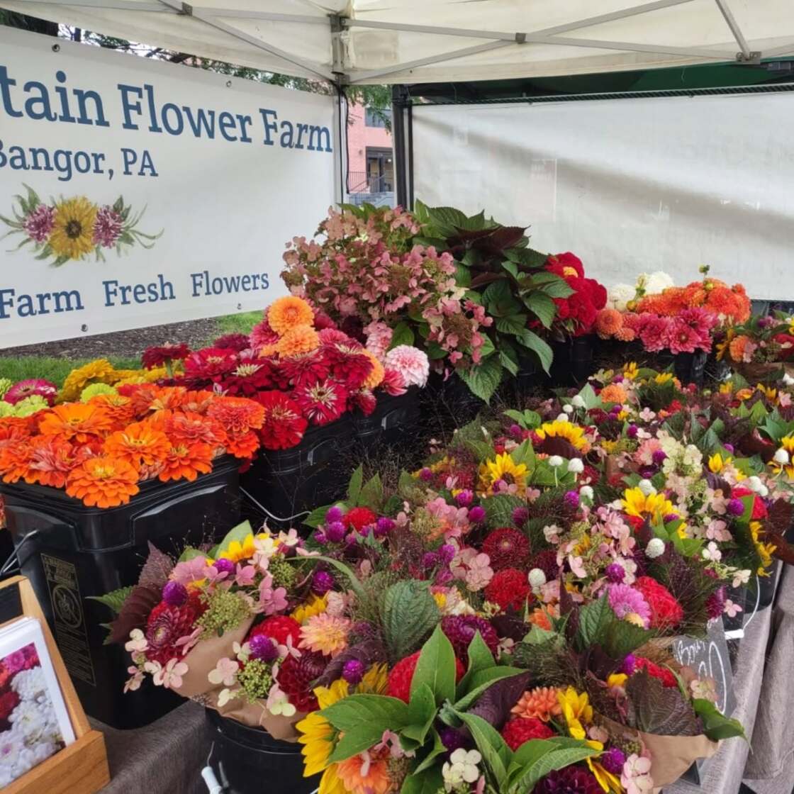 Photo of Minsi Mountain Flower Farm