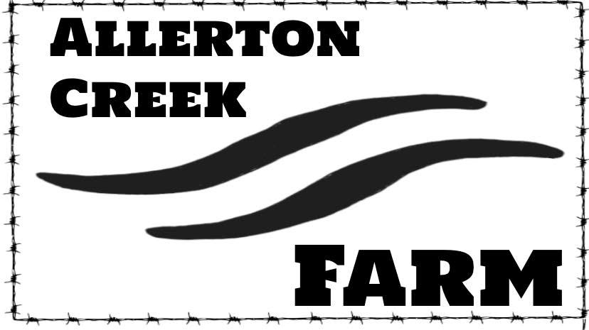 Allerton Creek Farm Sharpening & Wood Craft