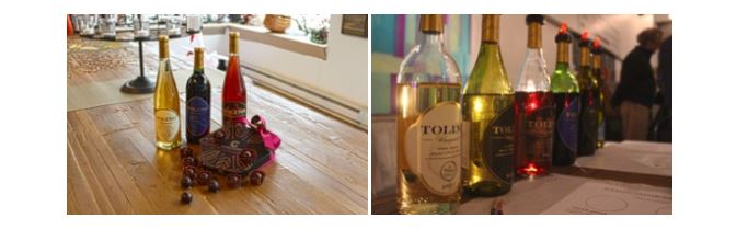 Photo of Tolino Vineyards